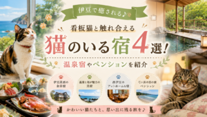 【伊豆】猫のいる宿4選！看板猫と触れ合える温泉宿やペンションを紹介