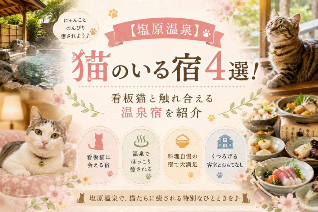 【塩原温泉】猫のいる宿4選！看板猫と触れ合える温泉宿を紹介