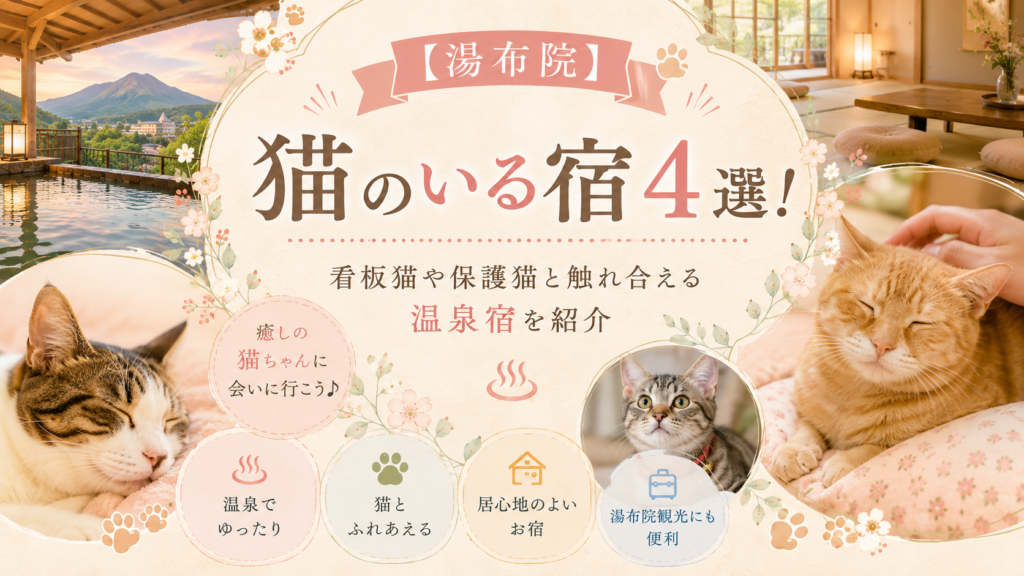 【湯布院】猫のいる宿4選！看板猫や保護猫と触れ合える温泉宿を紹介