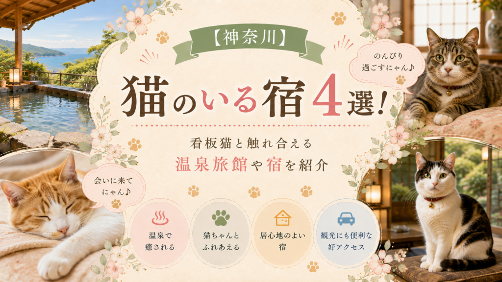 【神奈川】猫のいる宿4選！看板猫と触れ合える温泉旅館や宿を紹介