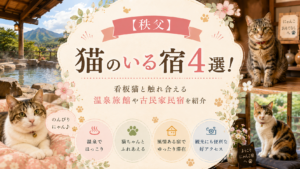 【秩父】猫のいる宿4選！看板猫と触れ合える温泉旅館や古民家民宿を紹介