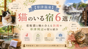 【草津温泉】猫のいる宿6選！看板猫と触れ合える旅館や草津周辺の宿を紹介