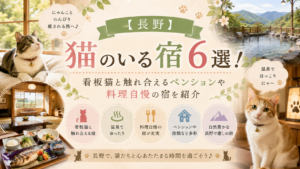 【長野】猫のいる宿6選！看板猫と触れ合えるペンションや料理自慢の宿を紹介