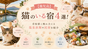 【鹿児島】猫のいる宿4選！看板猫と触れ合える温泉旅館や民宿を紹介